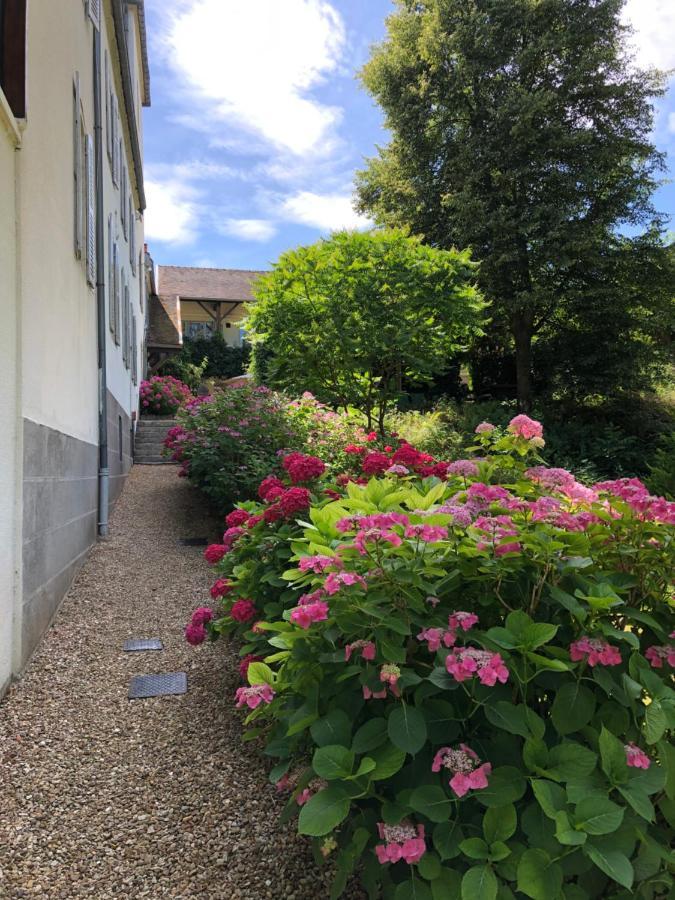 Chateau Saint Claude An Der Saone Mantoche Eksteriør billede